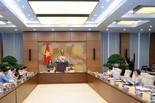 Thẩm tra sơ bộ dự án Luật Tổ chức cơ quan điều tra hình sự (sửa đổi)