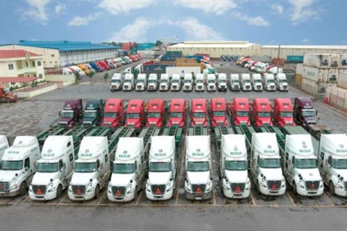 Viconship xoay xở hàng nghìn tỷ đồng nguồn vốn, cổ phiếu mất hơn 50% từ đỉnh