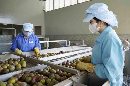 Ngân hàng mở rộng tín dụng, lãi vay 'chọn' phương án kinh doanh