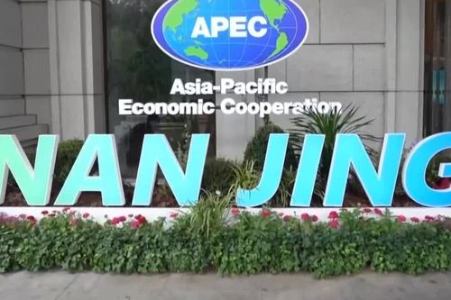 APEC hợp tác phát triển nguồn nhân lực trong kỷ nguyên AI