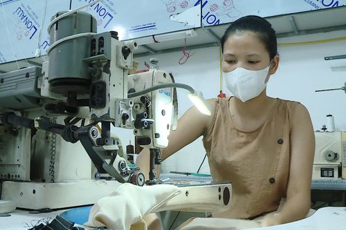 Hiệu quả từ vốn vay việc làm cho người dân có đất thu hồi