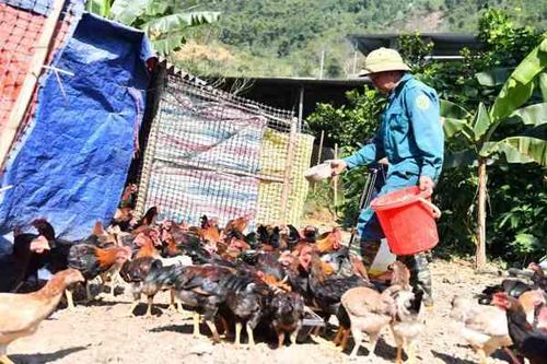 Phú Thọ: Tổng dư nợ các chương trình tín dụng chính sách đạt trên 20,3 nghìn tỷ đồng