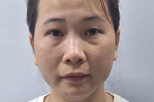 Trần Thị Cẩm Hoa bị bắt, lật tẩy chiêu thức lừa đảo tiền tỷ
