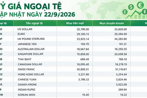 Tỷ giá ngoại tệ ngày 22/9: USD trên 26.000 đồng, CHF vượt 32.100 đồng
