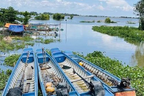Thách thức vùng châu thổ:  Kỳ 1: Khi dòng phù sa không còn nặng cá