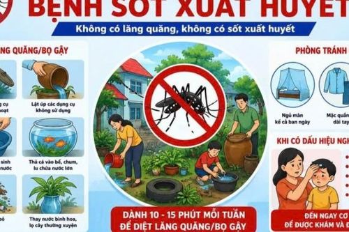 Khánh Hòa tăng cường phòng chống sốt xuất huyết, ngăn dịch bùng phát, lan rộng