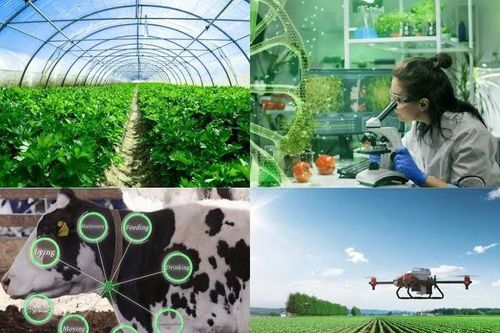 Ban hành tiêu chí dự án xanh, tuần hoàn: Cơ hội mới cho nông nghiệp bền vững