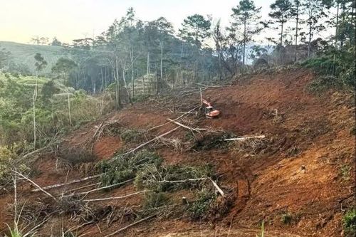Xử phạt hơn 6,9 tỷ đồng vi phạm lấn chiếm đất đai, xây dựng trái phép