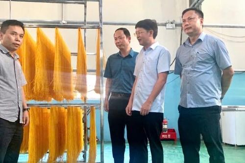Tăng cường kết nối, hợp tác phát triển sản phẩm ngô bản địa tại Tuyên Quang