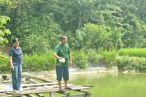 Tận dụng nguồn lực, dựng cơ nghiệp từ mô hình kinh tế tổng hợp