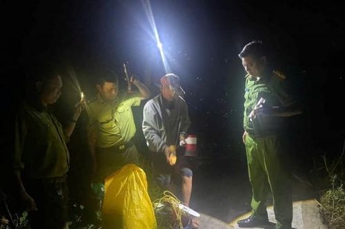 An Giang: Bắt quả tang 2 đối tượng bẫy chim hoang dã bằng lưới tàng hình