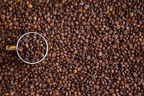 Giá cà phê hôm nay 22/9: Giảm xuống mức thấp nhất 3 tháng