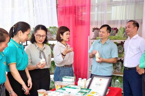 Hội Nông dân Sơn Đồng đồng hành với hội viên, nông dân trong quảng bá, tiêu thụ sản phẩm