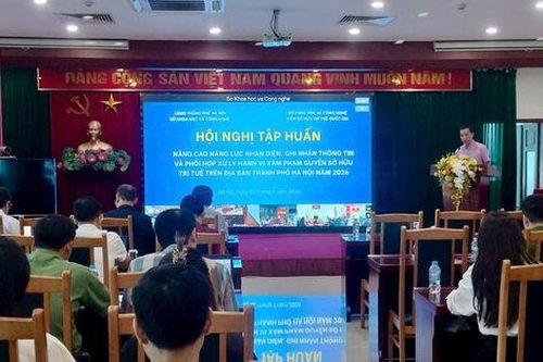 Tập huấn kỹ năng phát hiện, xử lý vi phạm sở hữu trí tuệ tại Hà Nội