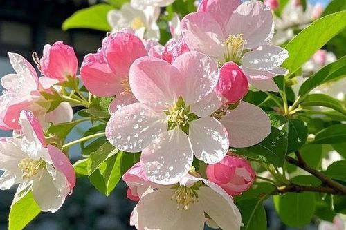 Số cuối ngày sinh Âm lịch của người sở hữu trí tuệ và ý chí đáng nể