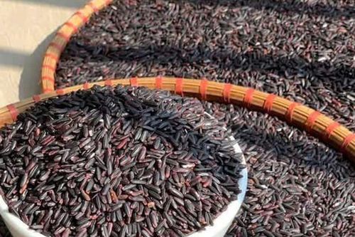 4 lầm tưởng về tinh bột và đường huyết mà người bệnh đái tháo đường nên biết