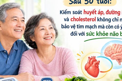 Sau 50 tuổi não thay đổi thế nào, làm gì để bảo vệ trí nhớ?