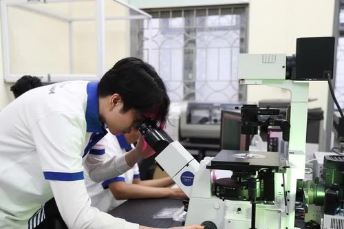 29 ngành khoa học cơ bản, 62 ngành kỹ thuật then chốt được áp dụng chính sách học bổng