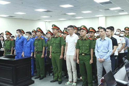 Nhóm đối tượng trong đường dây sản xuất buôn bán sữa giả dành cho trẻ sơ sinh và 'bà bầu' hầu tòa