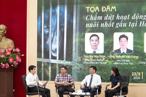 Hà Nội chiếm gần một nửa số gấu nuôi nhốt cả nước