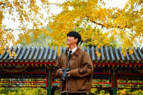 Người Việt lại kéo nhau đi Trung Quốc ngắm lá vàng, lá đỏ