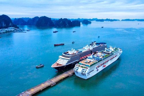 Quảng Ninh bắt đầu vào mùa du lịch tàu biển