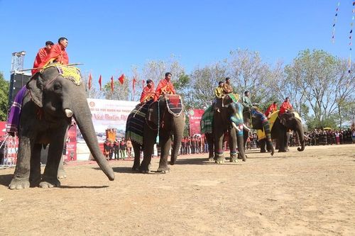 Buôn làng dần vắng bóng voi