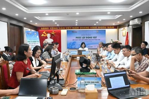 Hoàn thiện chính sách, nâng cao hiệu quả thực thi phúc lợi động vật