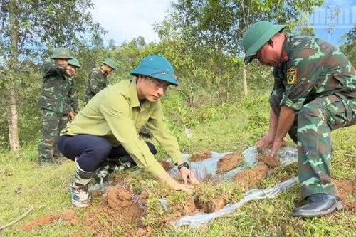 Hỗ trợ người dân ở biên giới Việt Nam-Trung Quốc thực hiện mô hình trồng cây ăn quả