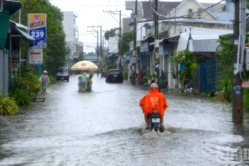 Vùng nội ô Cà Mau ngập sâu trong mưa