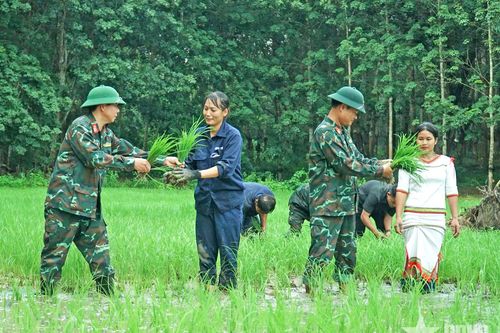 Đoàn Kinh tế-Quốc phòng 78 gieo mùa no ấm ở vùng biên giới Mô Rai