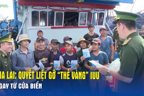Gia Lai: Quyết liệt gỡ 'thẻ vàng' IUU ngay từ cửa biển