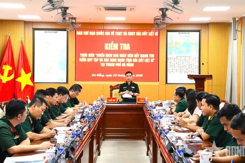 Ban chỉ đạo 515 quốc gia kiểm tra kết quả thực hiện Chiến dịch 500 ngày đêm tại TP Đà Nẵng