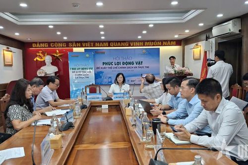 Xây dựng phúc lợi động vật cho từng đối tượng vật nuôi để ngành chăn nuôi phát triển
