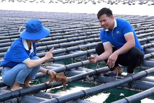 Hơn 1.200 hồ sơ giao, sử dụng khu vực biển được cập nhật trên hệ thống quốc gia