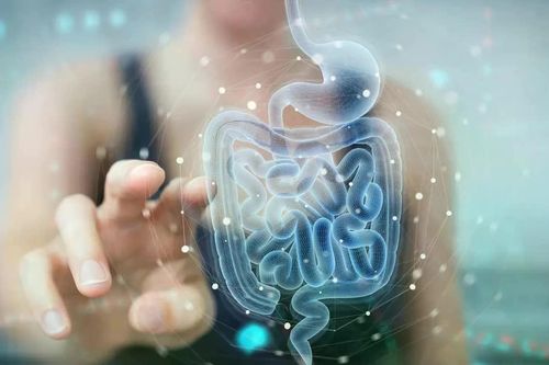 Khả năng tự chữa lành đường ruột nhờ hợp chất tự nhiên từ trái cây