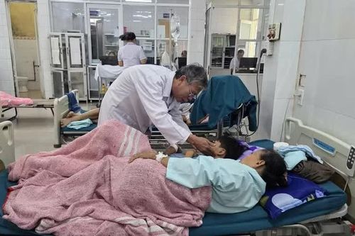 Vụ ngộ độc thực phẩm ở Quảng Trị: Phát hiện vi khuẩn Salmonella