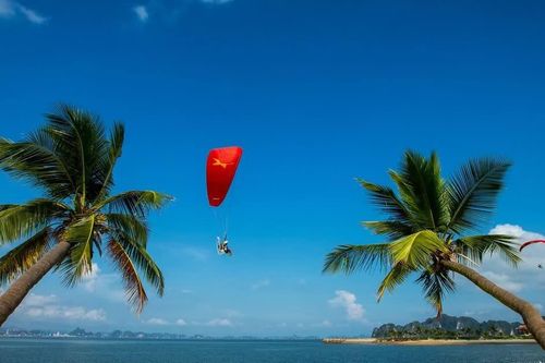 Hội nghị toàn quốc bàn cách gỡ điểm nghẽn du lịch