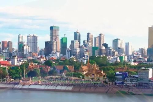 Hội nghị quốc tế về chống lừa đảo trực tuyến: Phối hợp đối phó mạng lưới xuyên quốc gia