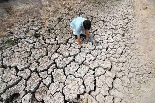 Siêu El Nino quay lại sau 11 năm: Việt Nam nguy cơ hạn khắc nghiệt