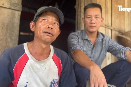 Uẩn khúc vụ không biết chữ nhưng 'đứng đơn' xin 60 ha đất trồng rừng ở Gia Lai