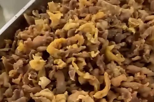 Hà Nội: Xã yêu cầu giám định mẫu thịt sau phản ánh bữa ăn bán trú 'toàn tóp mỡ'