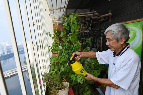 Cư dân HH Linh Đàm: 'Chúng tôi mong muốn được an cư'
