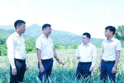 Khi hiệu quả công việc trở thành thước đo năng lực lãnh đạo