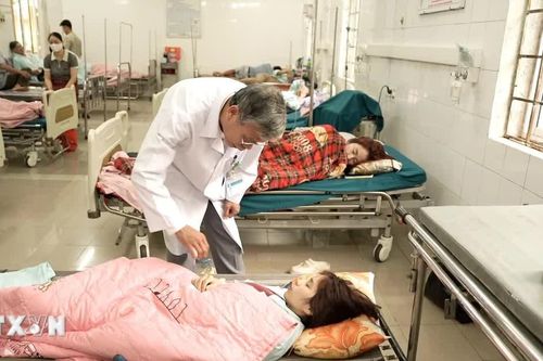 Vụ nghi ngộ độc thực phẩm tại Quảng Trị: Đã có kết quả kiểm nghiệm