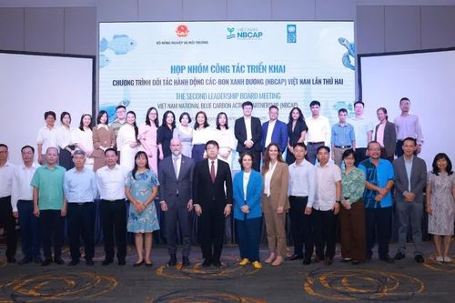 Việt Nam định hình các ưu tiên hành động, đầu tư về carbon xanh dương