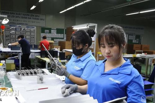 Hưng Yên đưa khoa học và công nghệ thành động lực phát triển kinh tế
