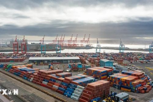 OECD điều chỉnh nâng dự báo tăng trưởng toàn cầu năm 2026