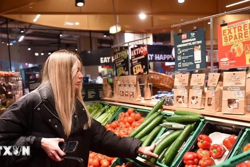 Kinh tế Eurozone bứt tốc đi kèm với sức ép lạm phát trở lại