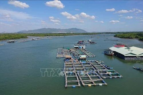 Lời giải căn cơ cho nghề cá Việt Nam - Bài cuối: Cơ hội lịch sử từ bước ngoặt gỡ 'thẻ vàng'